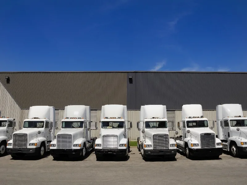 Brighton truck decking